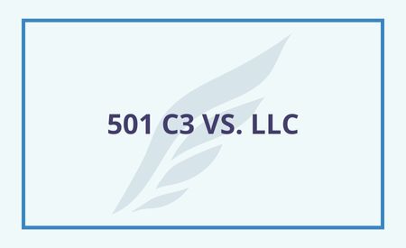 Soaring Resource Logo with title: 501 c3 v LLc