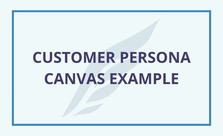 Soaring logo with title Customer Persona Example