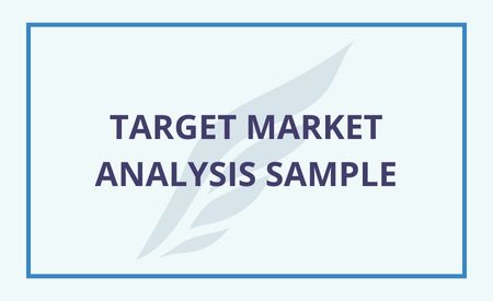 Soaring's Target Market Analysis Sample Cover Slide with text and Soaring logo